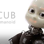 The iCub Humanoid Robot Project