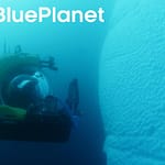 Pioneering Scientist Journeys 1000m Deep In Antarctica