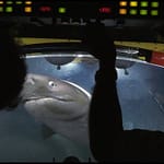 The Moment Giant Sharks Attack Crew Submarine