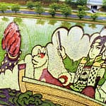 The Japanese Town Growing Masterpieces With Rice