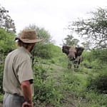 Tour Guide Keeps Cool As Elephant Charges At Him Twice